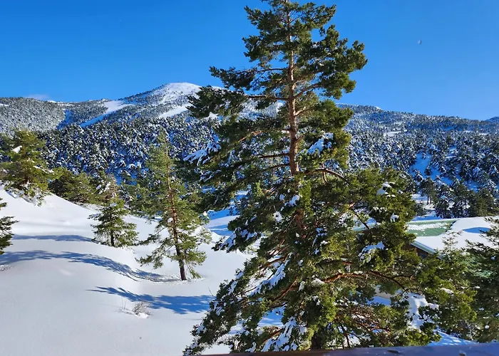 Greolieres Les Neiges
