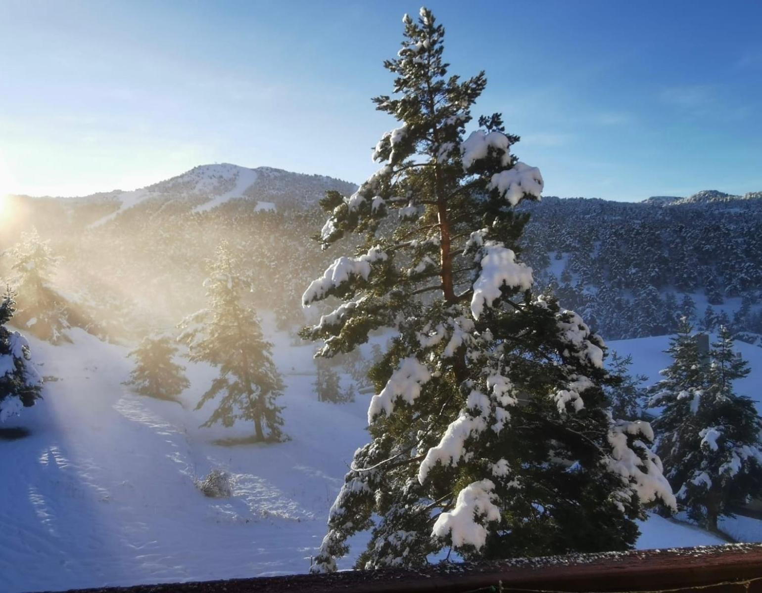 Appartement Les Neiges