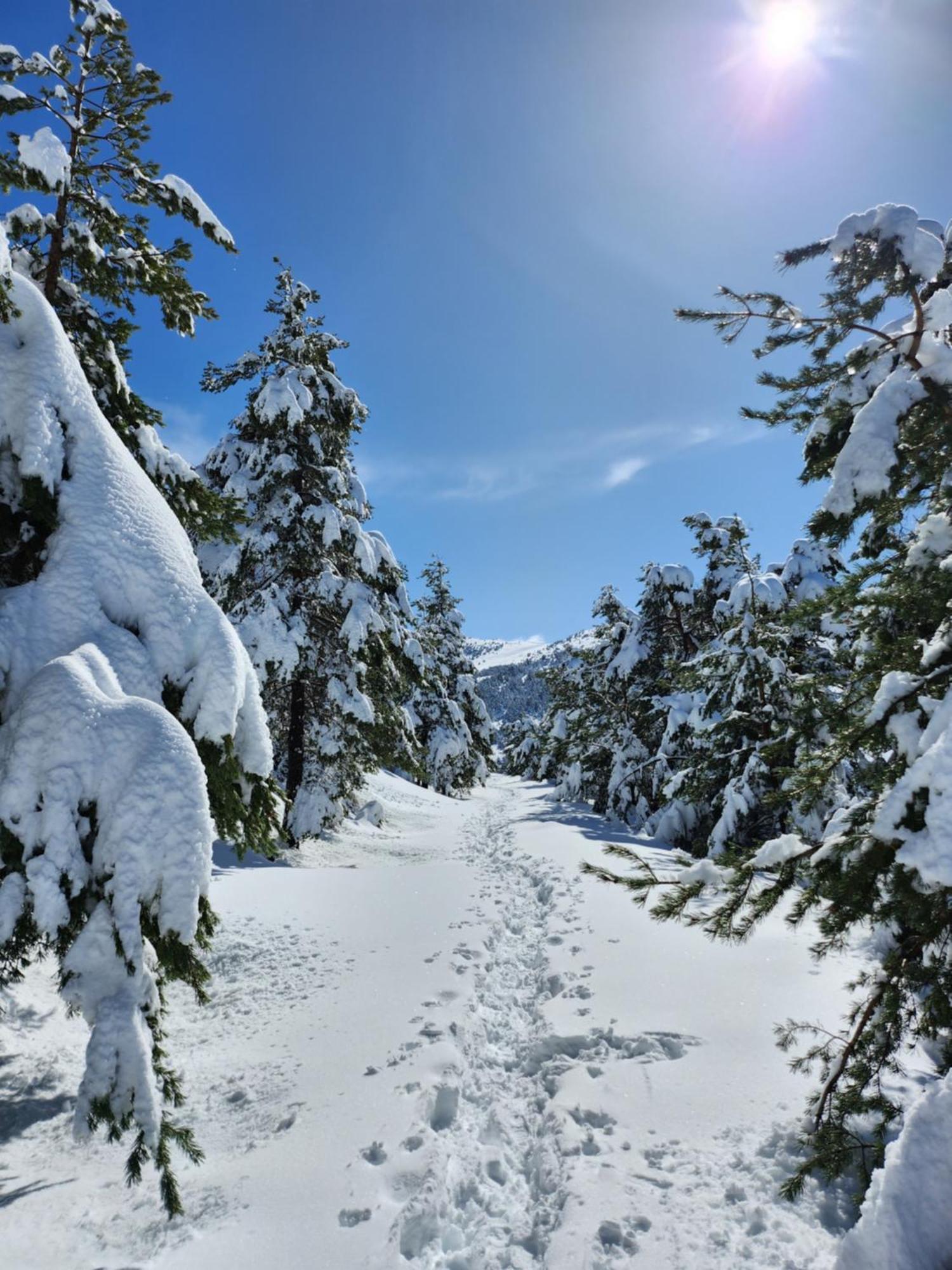Les Neiges * Greolieres